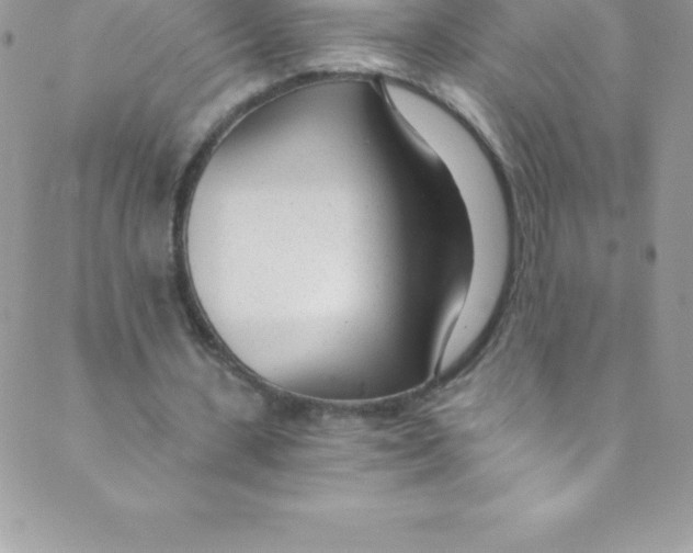 X0000088840531200707051450