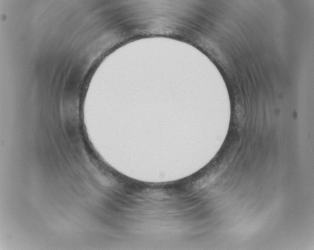 X0000088840534200707051450