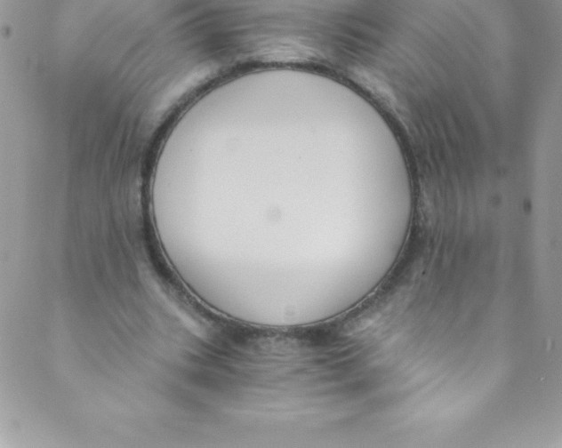 X0000088840535200707051450