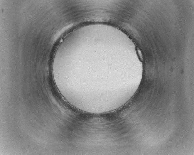 X0000088840536200707051450