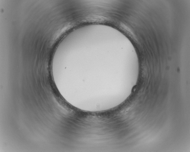 X0000088840538200707051450