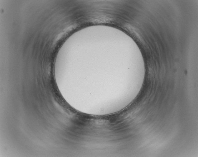 X0000088840539200707051450