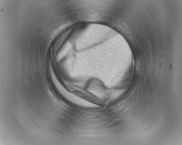 X0000088840540200707051450