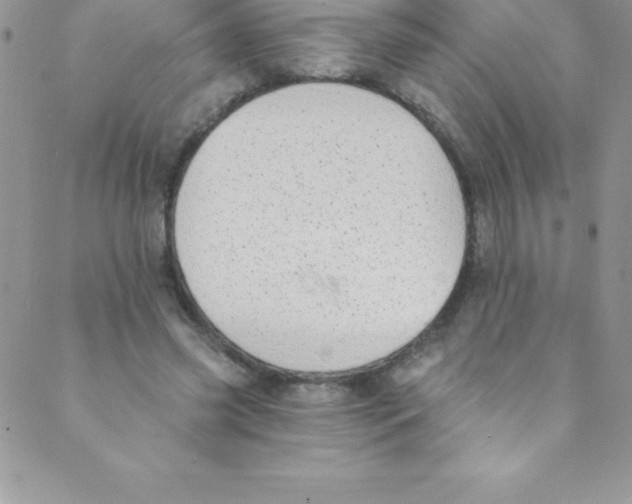 X0000088840541200707051450