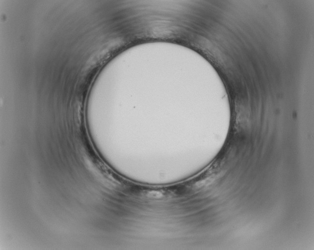 X0000088840542200707051450