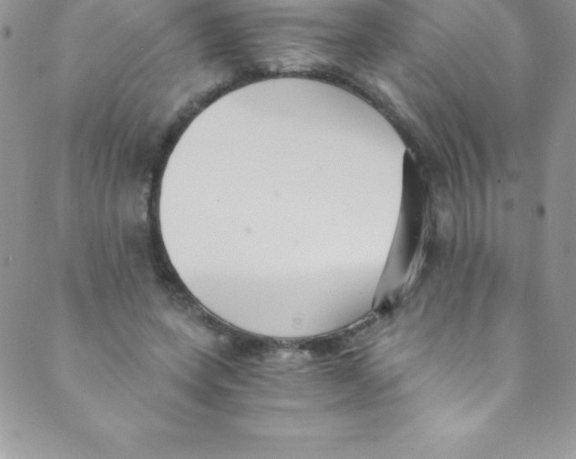 X0000088840543200707051450