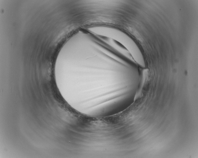 X0000088840544200707051450