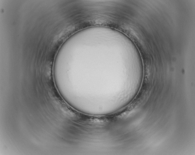 X0000088840545200707051450