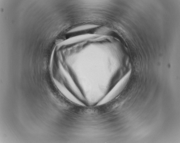 X0000088840546200707051450