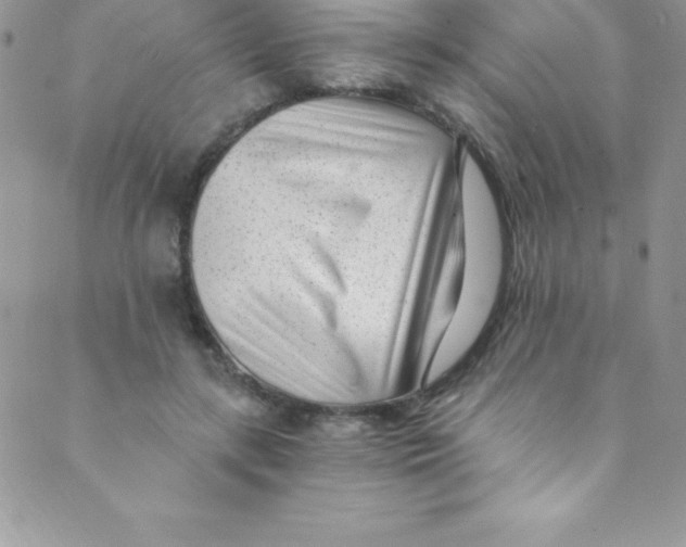 X0000088840547200707051450