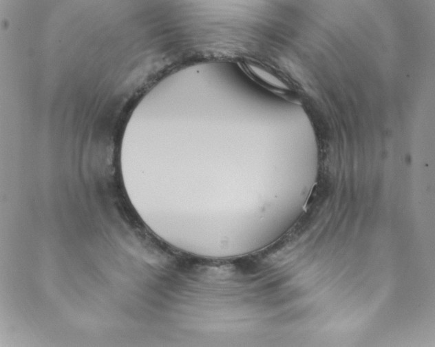 X0000088840548200707051450