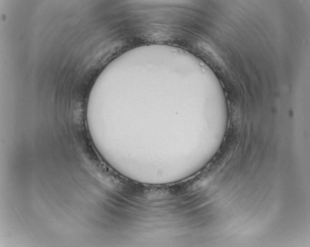 X0000088840549200707051450