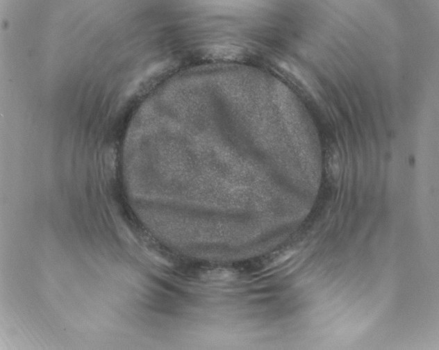 X0000088840551200707051450