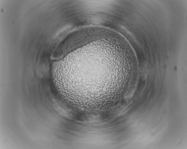 X0000088840552200707051450