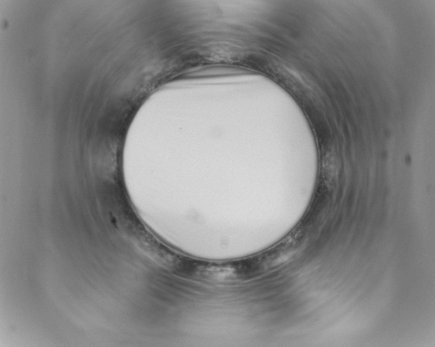 X0000088840554200707051450