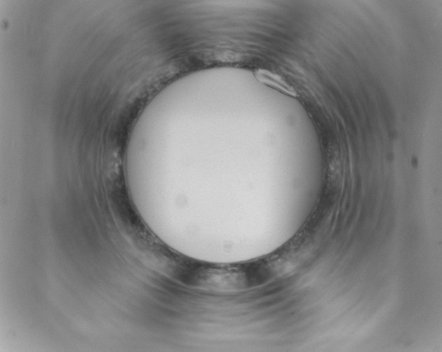 X0000088840555200707051450