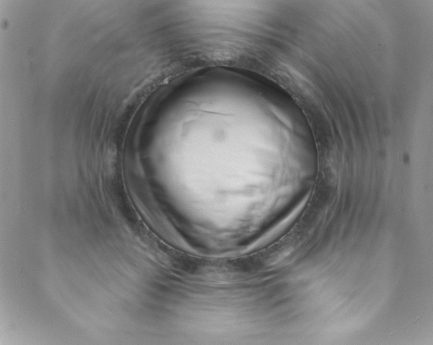 X0000088840556200707051450