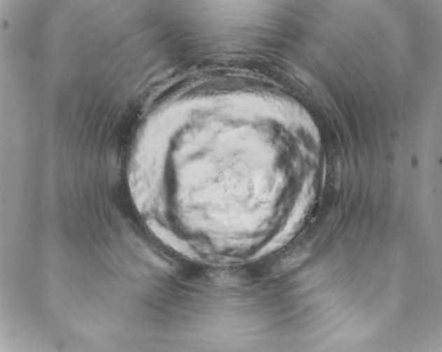 X0000088840558200707051450