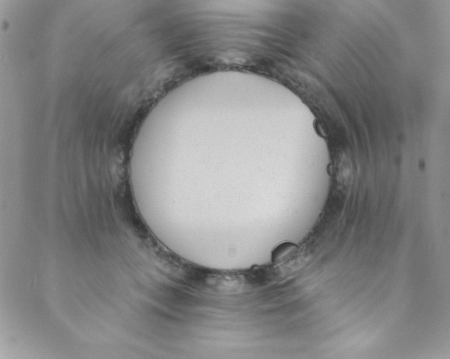 X0000088840559200707051450