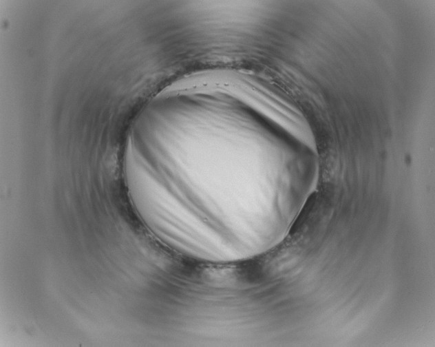 X0000088840560200707051450