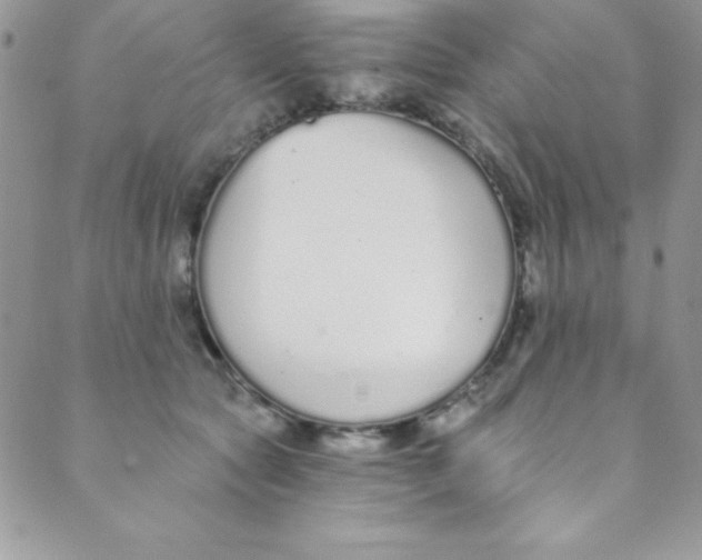 X0000088840561200707051450