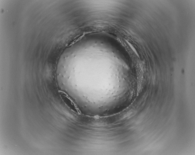 X0000088840562200707051450