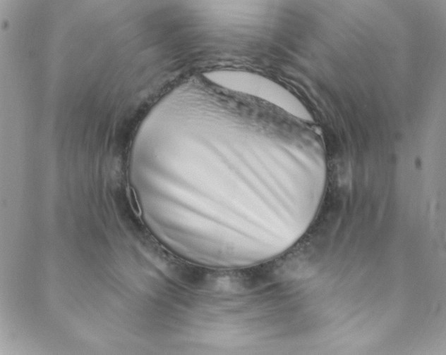 X0000088840564200707051450