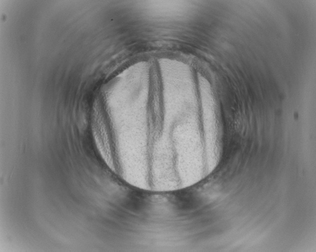 X0000088840566200707051450