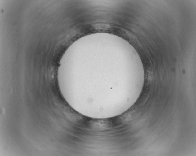 X0000088840567200707051450