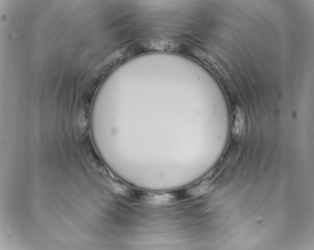 X0000088840569200707051450