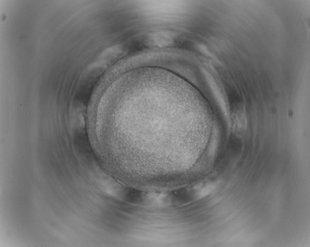 X0000088840570200707051450