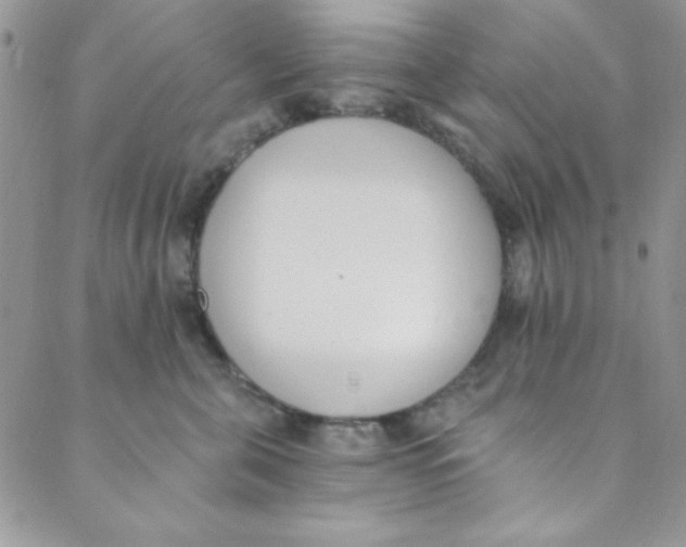 X0000088840571200707051450