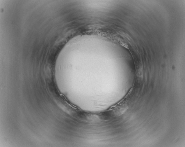 X0000088840572200707051450