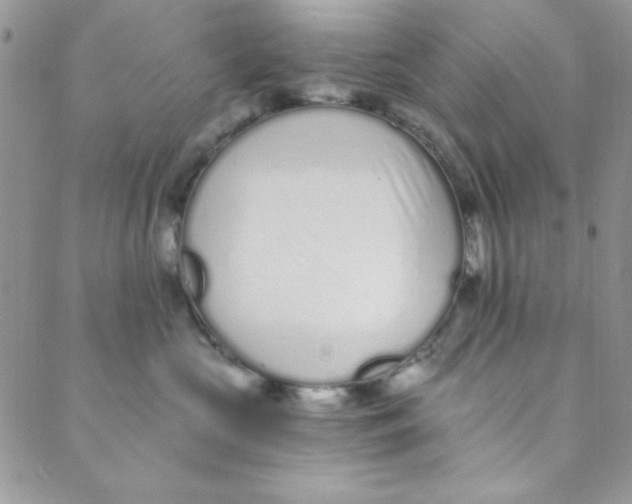 X0000088840573200707051450