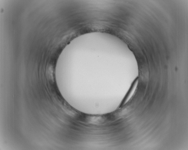 X0000088840575200707051450