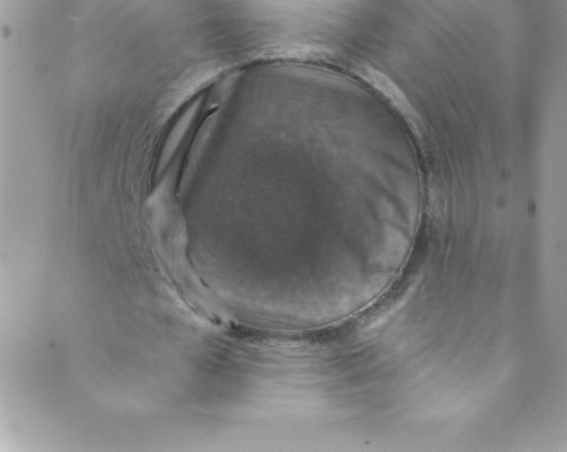 X0000088840577200707051450