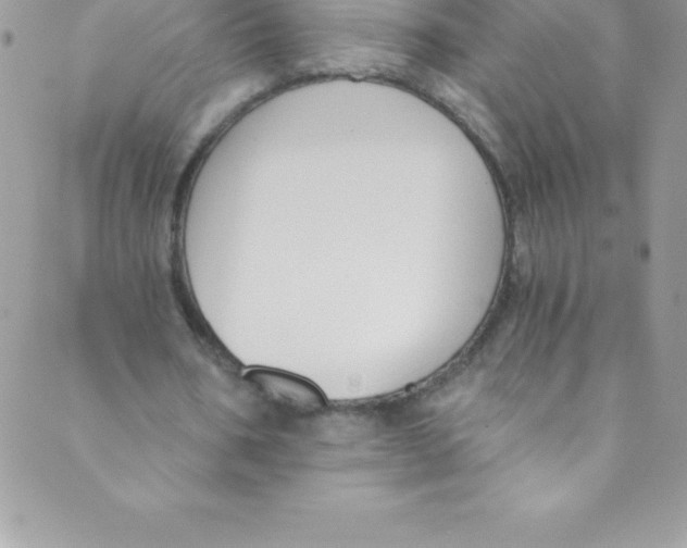 X0000088840578200707051450