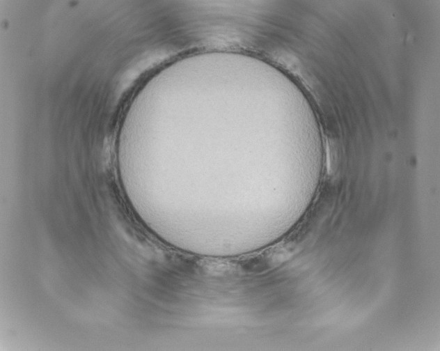 X0000088840579200707051450