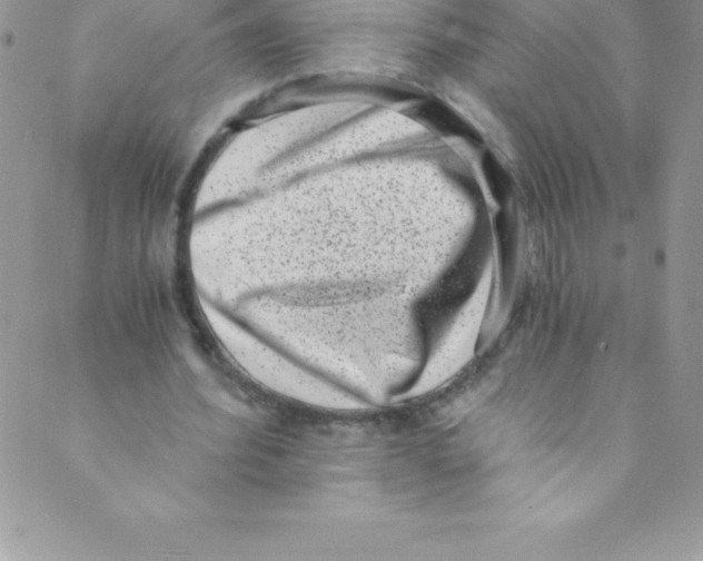 X0000088840580200707051450