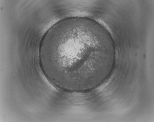 X0000088840581200707051450