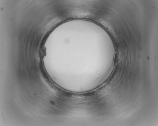 X0000088840582200707051450