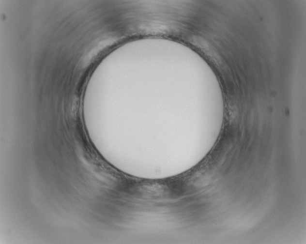 X0000088840583200707051450