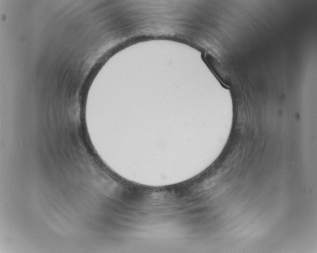 X0000088840584200707051450