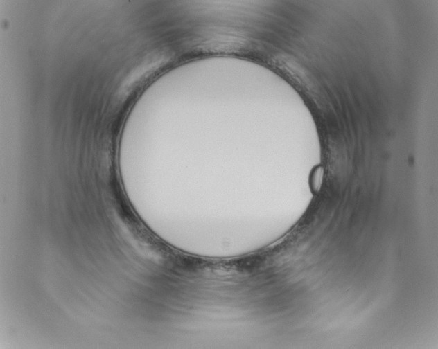 X0000088840586200707051450