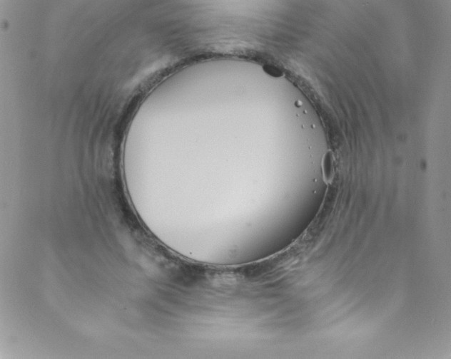 X0000088840587200707051449