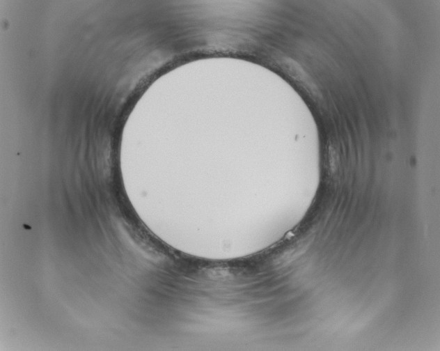 X0000088840588200707051449