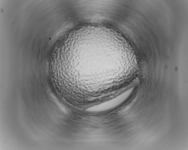 X0000088840589200707051449