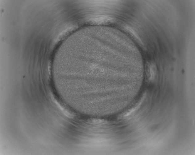 X0000088840590200707051449