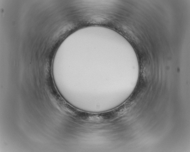 X0000088840591200707051449