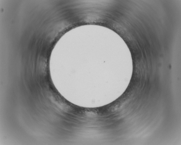 X0000088840592200707051449